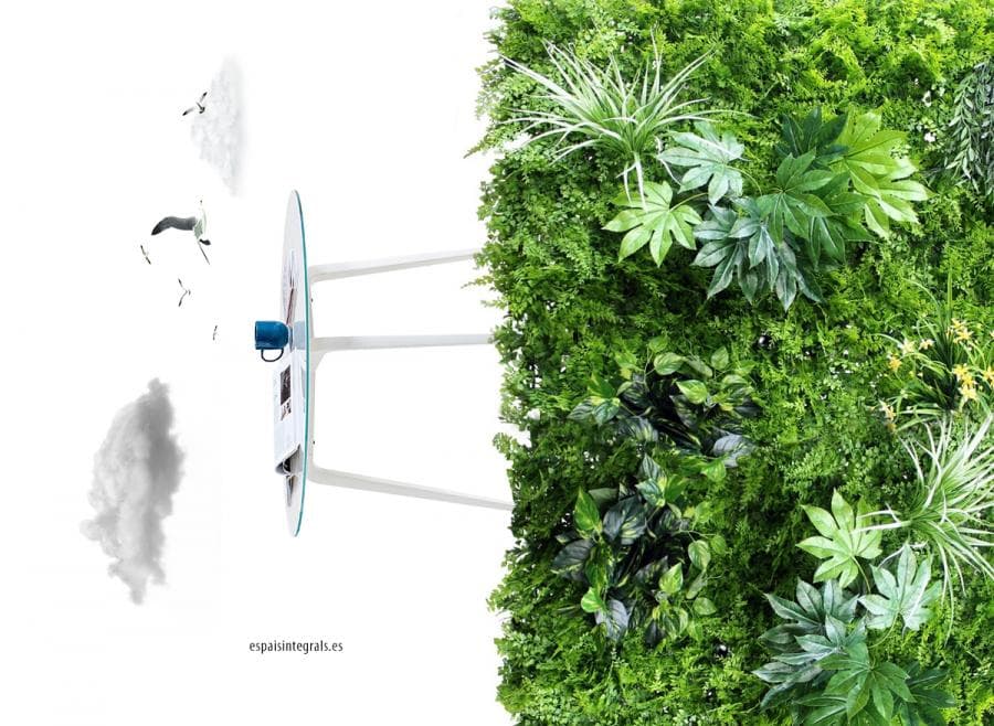 8 pasos para crear un jardín vertical en la oficina