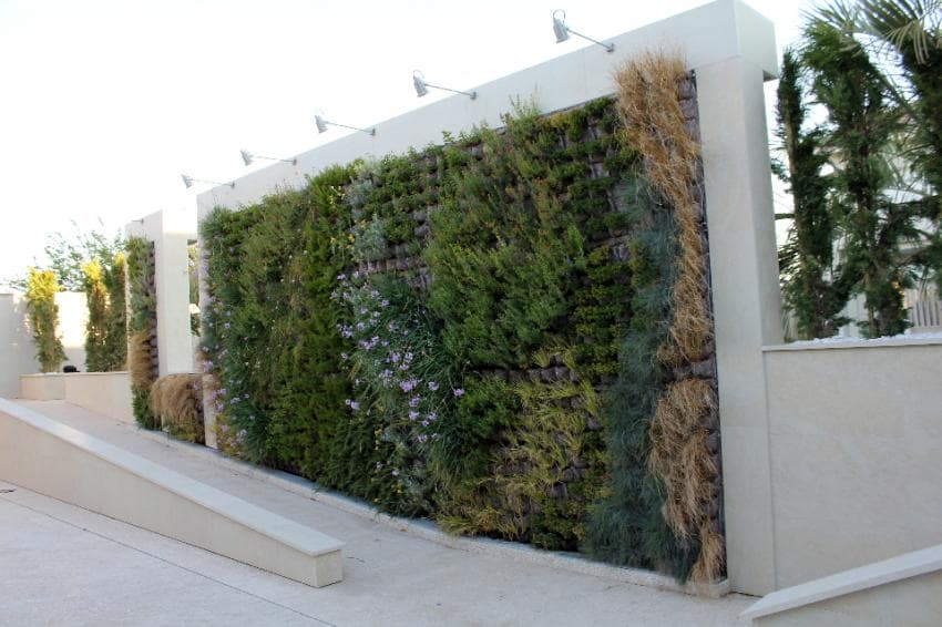 	Foto de Greenarea 