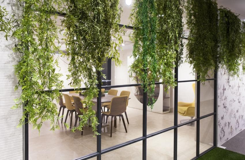 	Foto de Greenarea 