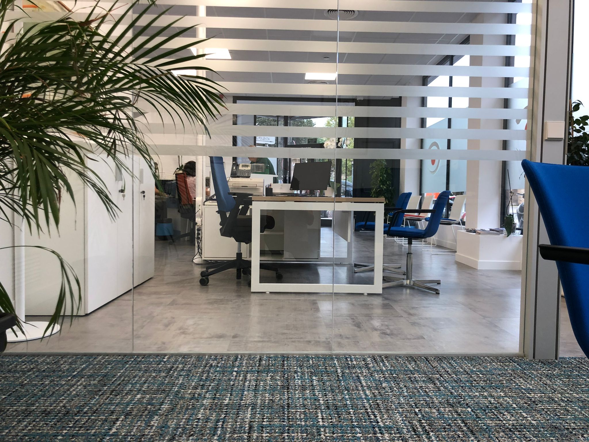 proyecto-colonya-3