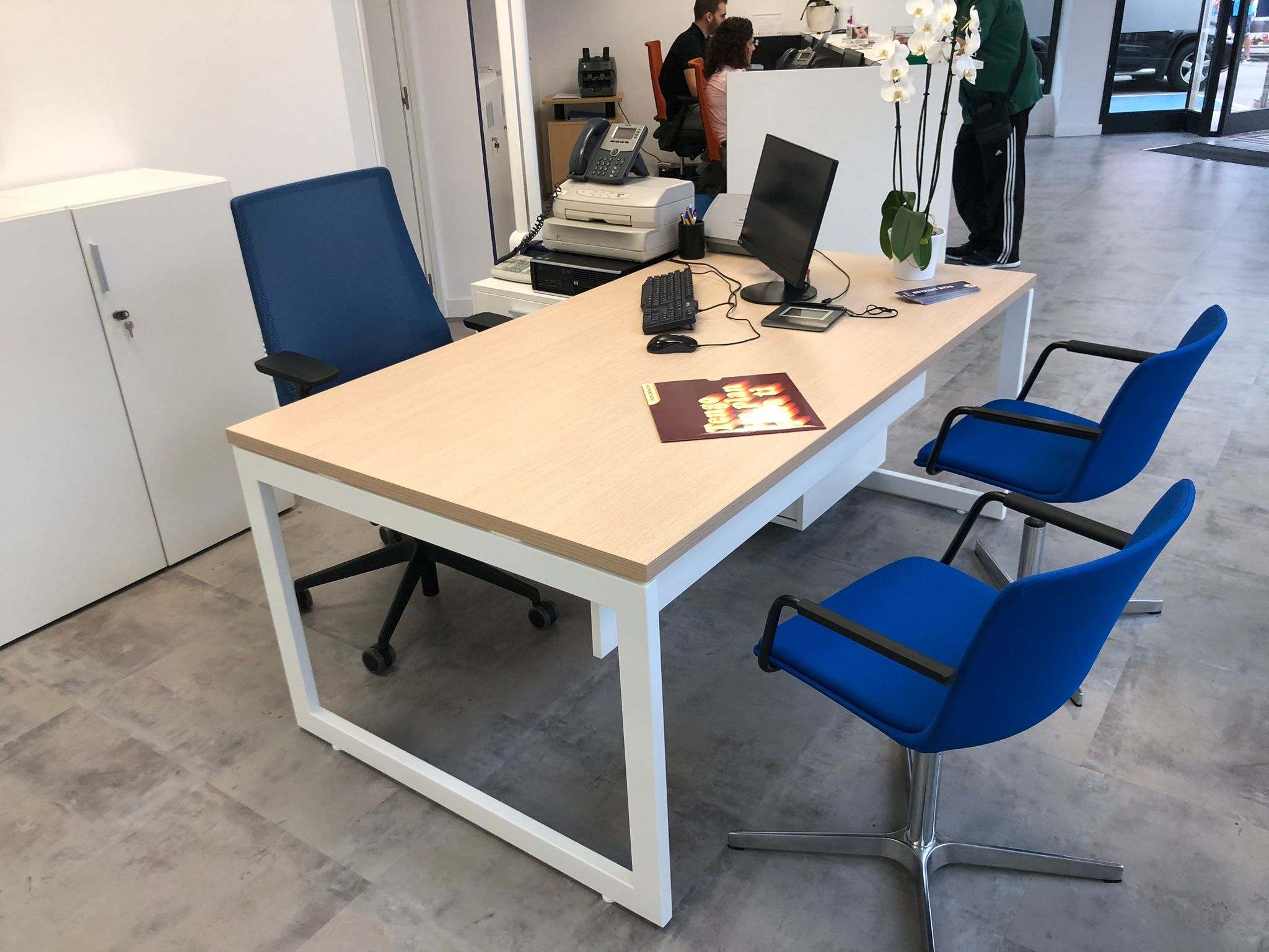 proyecto-colonya-4