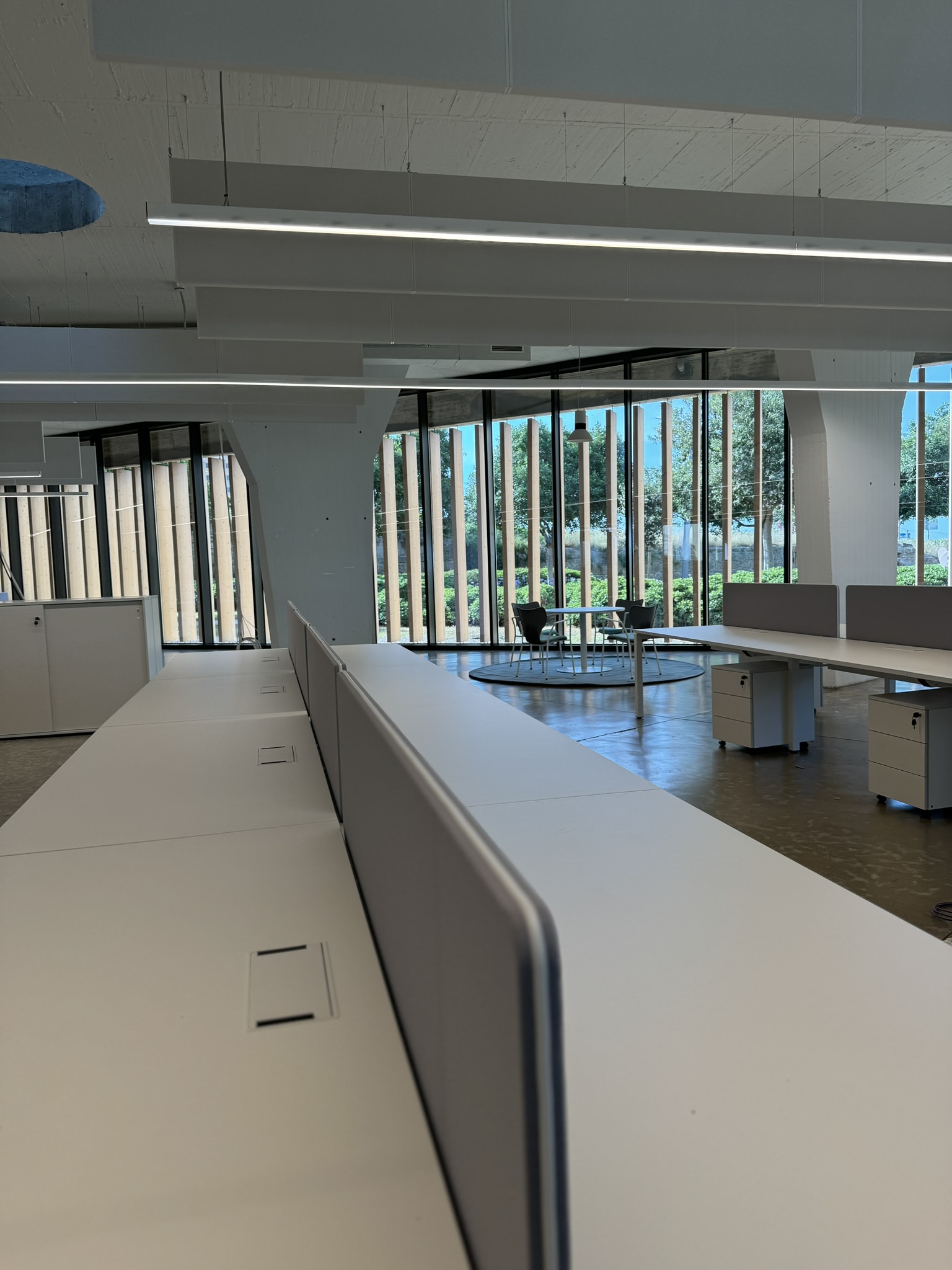 proyecto-instituto-municipal-de-innovacion-10
