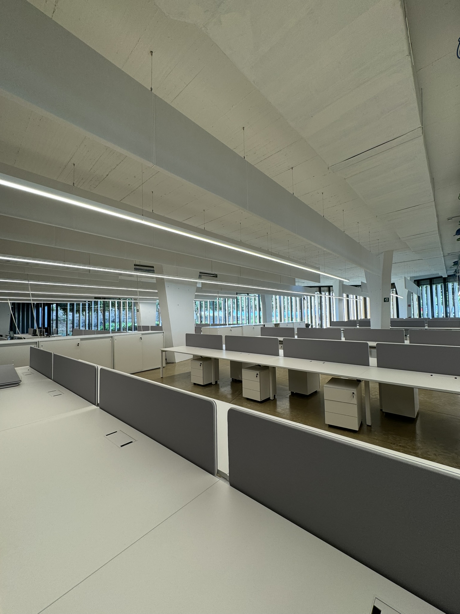 proyecto-instituto-municipal-de-innovacion-4